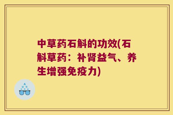 中草药石斛的功效(石斛草药：补肾益气、养生增强免疫力)