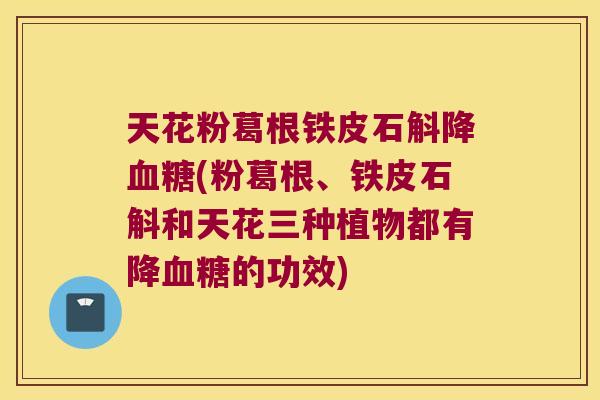 天花粉葛根铁皮石斛降血糖(粉葛根、铁皮石斛和天花三种植物都有降血糖的功效)