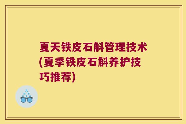 夏天铁皮石斛管理技术(夏季铁皮石斛养护技巧推荐)