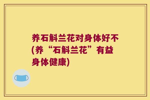 养石斛兰花对身体好不(养“石斛兰花”有益身体健康)