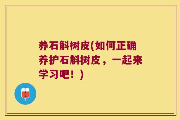养石斛树皮(如何正确养护石斛树皮，一起来学习吧！)