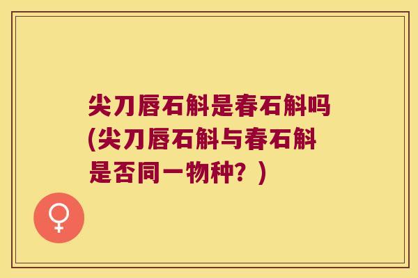 尖刀唇石斛是春石斛吗(尖刀唇石斛与春石斛是否同一物种？)