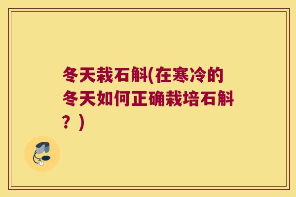 冬天栽石斛(在寒冷的冬天如何正确栽培石斛？)