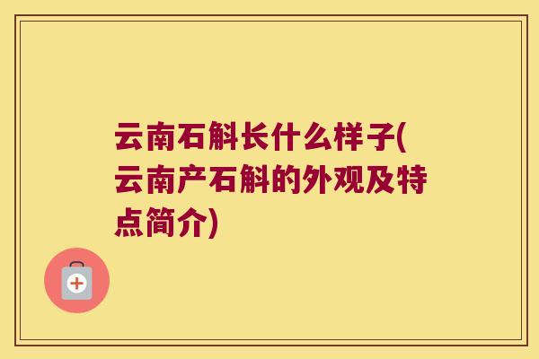 云南石斛长什么样子(云南产石斛的外观及特点简介)