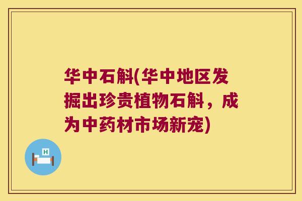 华中石斛(华中地区发掘出珍贵植物石斛，成为中药材市场新宠)