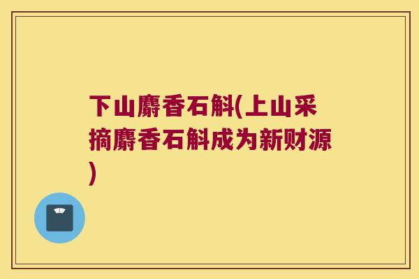 下山麝香石斛(上山采摘麝香石斛成为新财源)