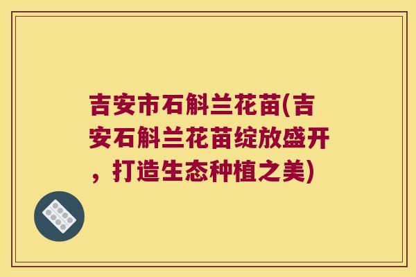 吉安市石斛兰花苗(吉安石斛兰花苗绽放盛开,打造生态种植之美) 吉安市石斛兰花苗(吉安石斛兰花苗绽放盛开,打造生态种植之美)