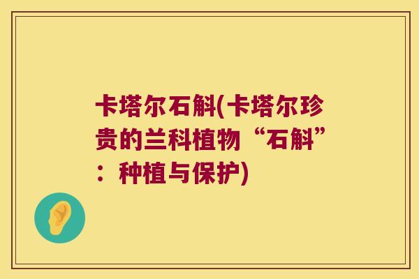 卡塔尔石斛(卡塔尔珍贵的兰科植物“石斛”：种植与保护)