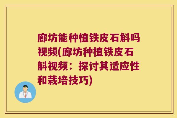 廊坊能种植铁皮石斛吗视频(廊坊种植铁皮石斛视频：探讨其适应性和栽培技巧)
