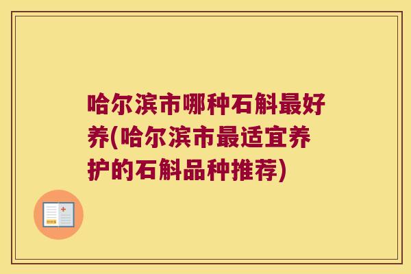 哈尔滨市哪种石斛最好养(哈尔滨市最适宜养护的石斛品种推荐)