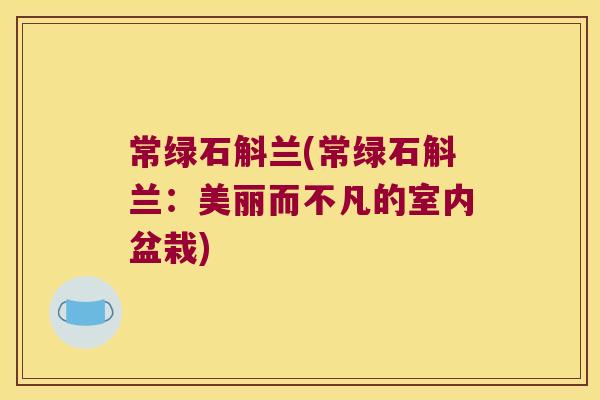 常绿石斛兰(常绿石斛兰：美丽而不凡的室内盆栽)