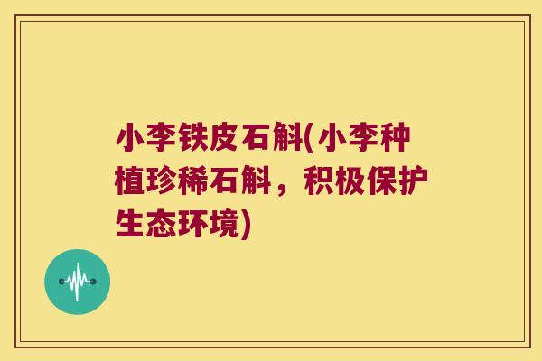 小李铁皮石斛(小李种植珍稀石斛，积极保护生态环境)