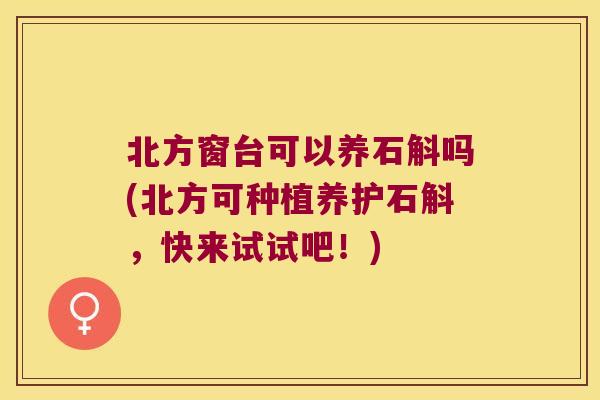 北方窗台可以养石斛吗(北方可种植养护石斛，快来试试吧！)