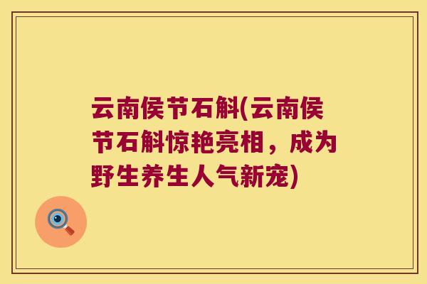 云南侯节石斛(云南侯节石斛惊艳亮相，成为野生养生人气新宠)