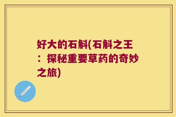 好大的石斛(石斛之王：探秘重要草药的奇妙之旅)