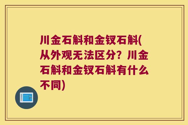 川金石斛和金钗石斛(从外观无法区分？川金石斛和金钗石斛有什么不同)