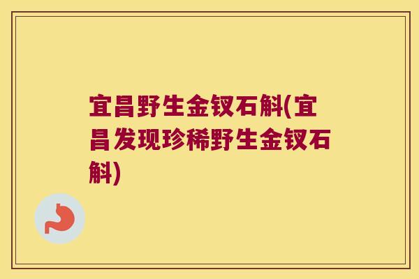 宜昌野生金钗石斛(宜昌发现珍稀野生金钗石斛)