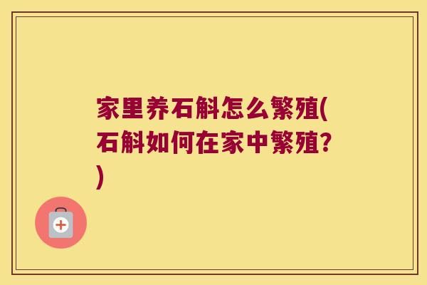 家里养石斛怎么繁殖(石斛如何在家中繁殖？)