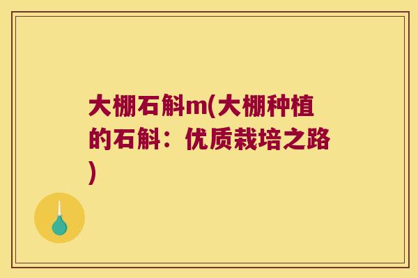 大棚石斛m(大棚种植的石斛：优质栽培之路)