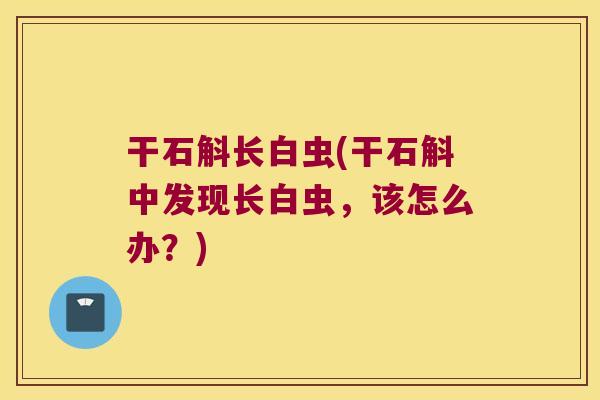 干石斛长白虫(干石斛中发现长白虫，该怎么办？)