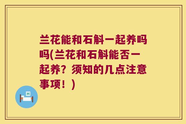 兰花能和石斛一起养吗吗(兰花和石斛能否一起养？须知的几点注意事项！)
