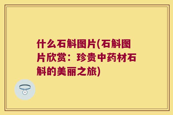 什么石斛图片(石斛图片欣赏：珍贵中药材石斛的美丽之旅)