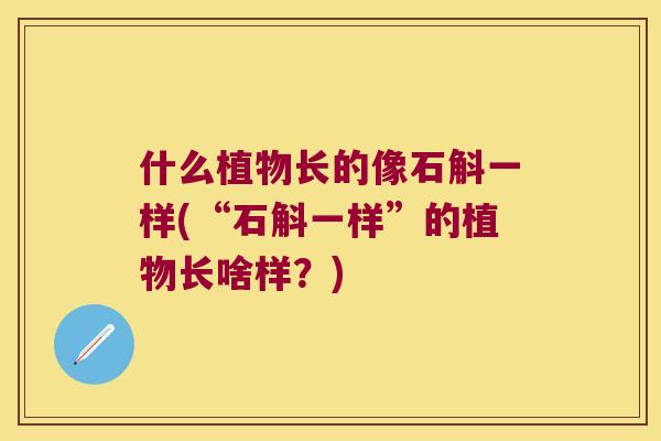 什么植物长的像石斛一样(“石斛一样”的植物长啥样？)