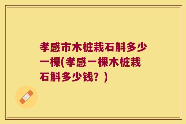 孝感市木桩栽石斛多少一棵(孝感一棵木桩栽石斛多少钱？)