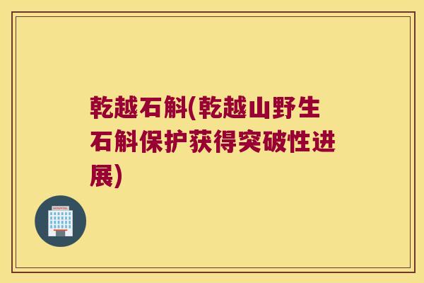 乾越石斛(乾越山野生石斛保护获得突破性进展)