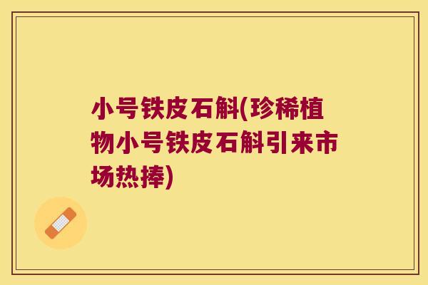 小号铁皮石斛(珍稀植物小号铁皮石斛引来市场热捧)