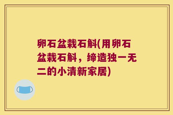 卵石盆栽石斛(用卵石盆栽石斛，缔造独一无二的小清新家居)