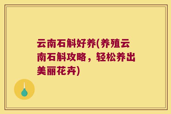 云南石斛好养(养殖云南石斛攻略，轻松养出美丽花卉)