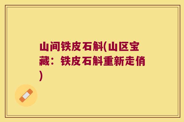 山间铁皮石斛(山区宝藏：铁皮石斛重新走俏)
