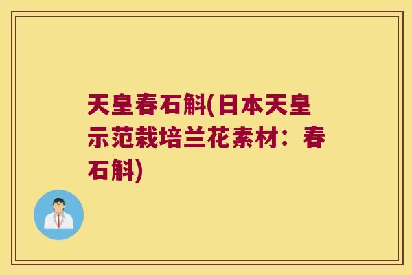 天皇春石斛(日本天皇示范栽培兰花素材：春石斛)