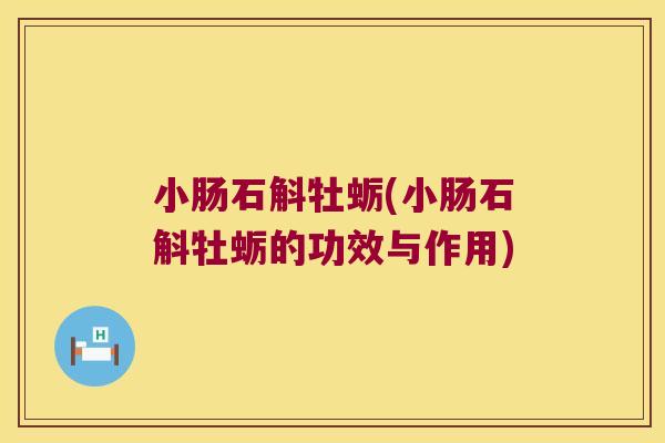 小肠石斛牡蛎(小肠石斛牡蛎的功效与作用)