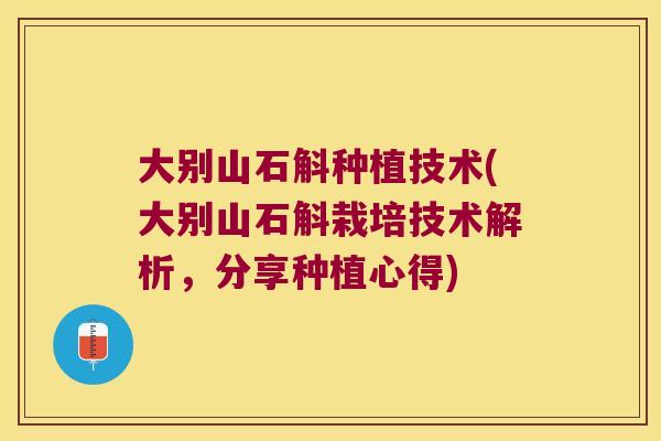 大别山石斛种植技术(大别山石斛栽培技术解析，分享种植心得)