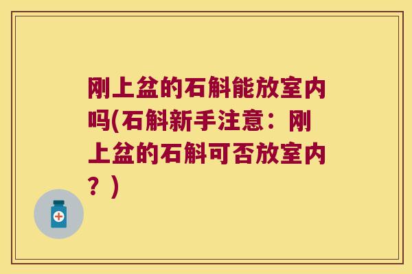 刚上盆的石斛能放室内吗(石斛新手注意：刚上盆的石斛可否放室内？)