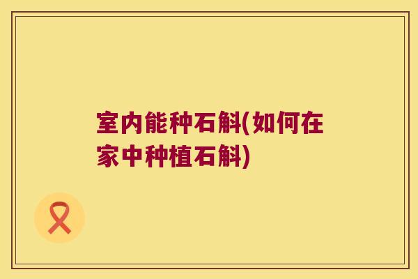 室内能种石斛(如何在家中种植石斛)