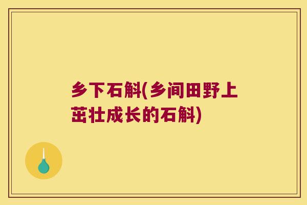 乡下石斛(乡间田野上茁壮成长的石斛)