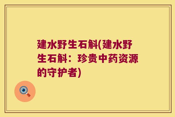 建水野生石斛(建水野生石斛:珍贵资源的守护者) 建水野生石斛(建水野生石斛:珍贵资源的守护者)