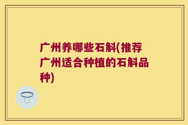 广州养哪些石斛(推荐广州适合种植的石斛品种)