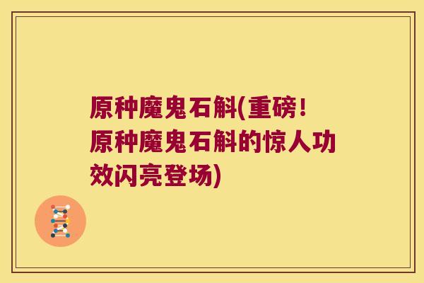 原种魔鬼石斛(重磅!原种魔鬼石斛的惊人功效闪亮登场) 原种魔鬼石斛(重磅!原种魔鬼石斛的惊人功效闪亮登场)