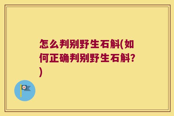 怎么判别野生石斛(如何正确判别野生石斛?) 怎么判别野生石斛(如何正确判别野生石斛?)