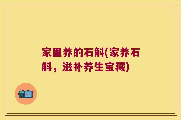 家里养的石斛(家养石斛，滋补养生宝藏)