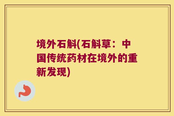 境外石斛(石斛草：中国传统药材在境外的重新发现)