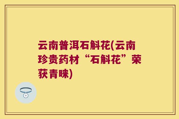 云南普洱石斛花(云南珍贵药材“石斛花”荣获青睐)