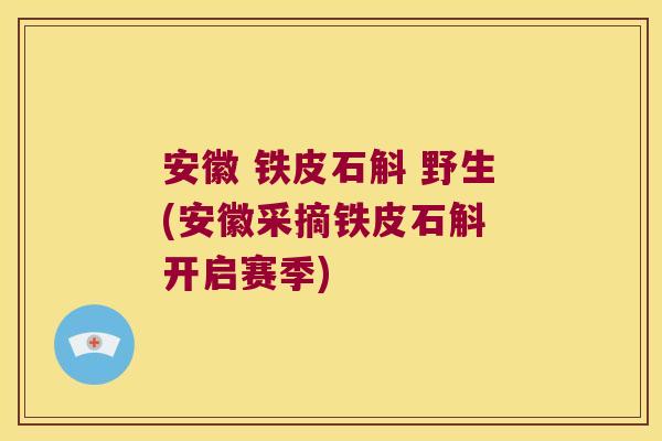 安徽 铁皮石斛 野生(安徽采摘铁皮石斛 开启赛季)