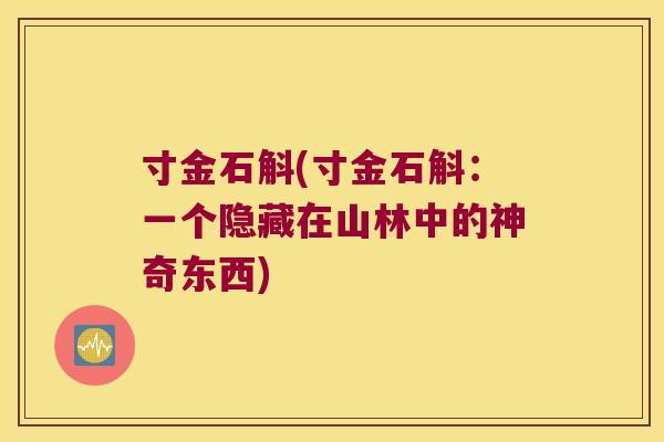 寸金石斛(寸金石斛：一个隐藏在山林中的神奇东西)