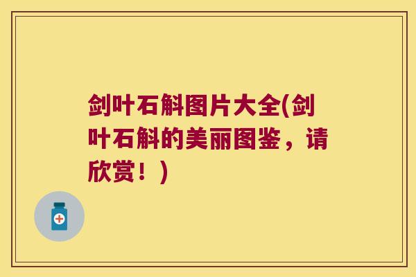 剑叶石斛图片大全(剑叶石斛的美丽图鉴,请欣赏!) 剑叶石斛图片大全(剑叶石斛的美丽图鉴,请欣赏!)