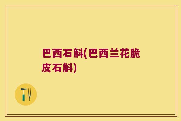 巴西石斛(巴西兰花脆皮石斛)